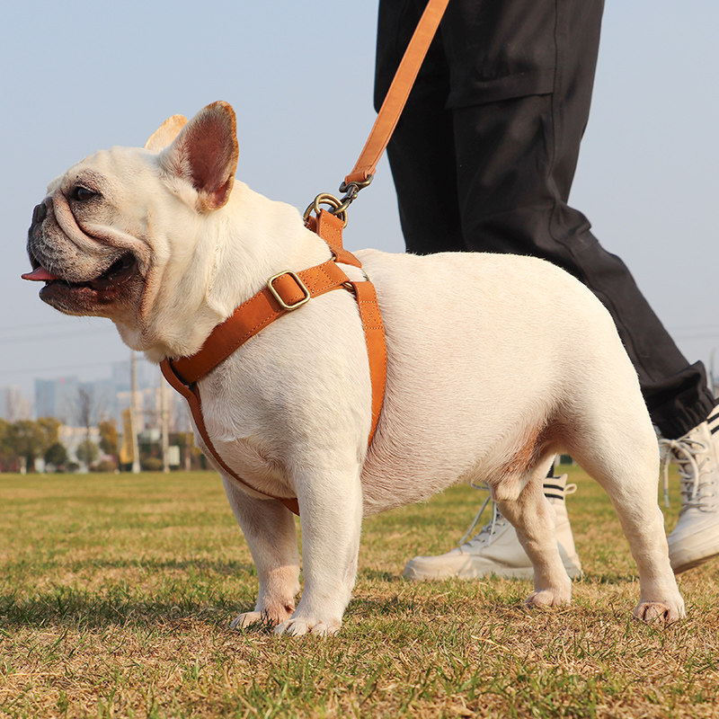 Camiseta de Estilo para Perros con Correa en el Pecho Medio Grande — imagen 1