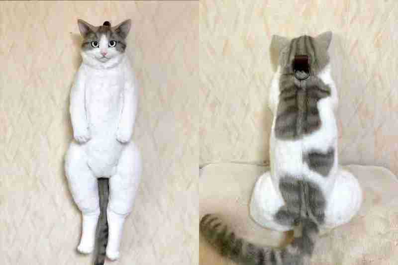Simulation Cat Backpack Doll Children'S Kitten Model Fake Simulation Animal Doll Plush Toy — image 5