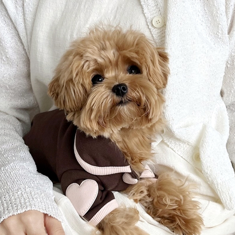 Ropa de mascotas, onesie suave, chaqueta para Bichón, ropa de invierno con corazón, vestidos de perro de dos patas con botones de snap — imagen 1