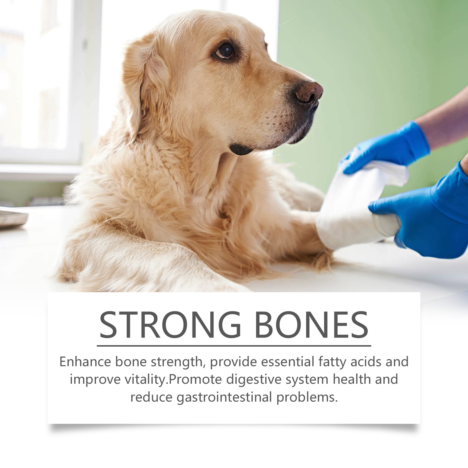 Dog Multi-Dimensional Fish Oil Tablet Pet Dog Hair Care Moisturize Skin Care Pet Health — image 6