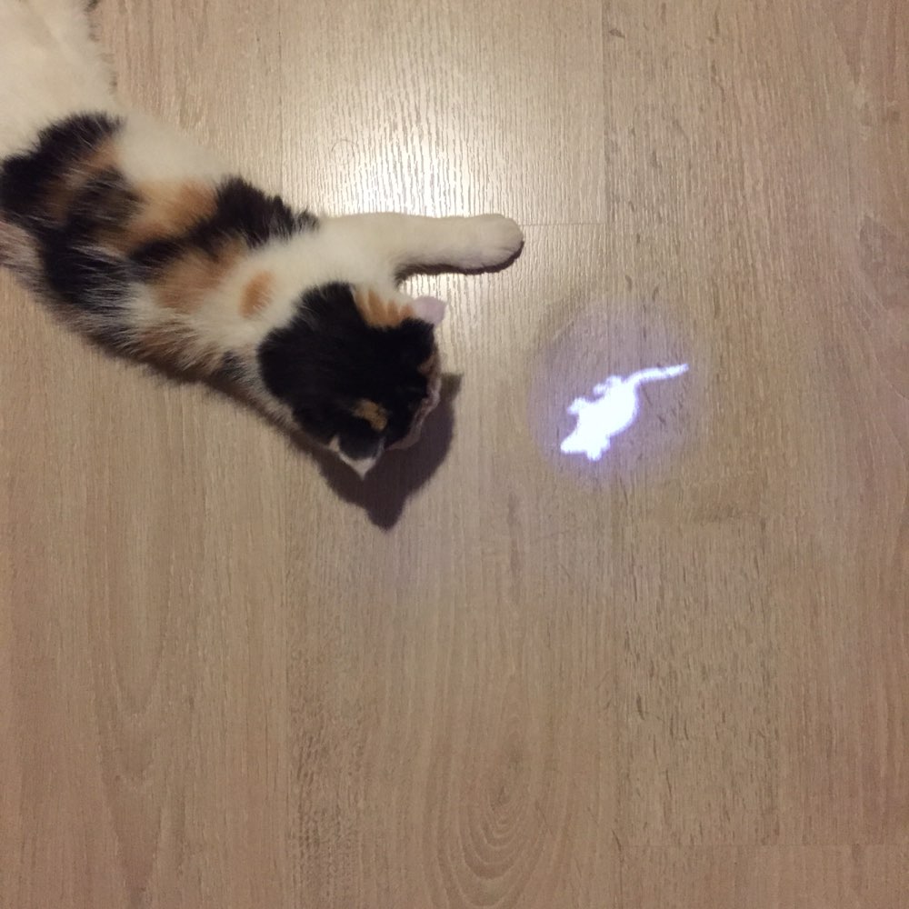 Juguete Sorprendente para Gatos, Creativo y Divertido, Puntero Láser LED para Gatos — imagen 3
