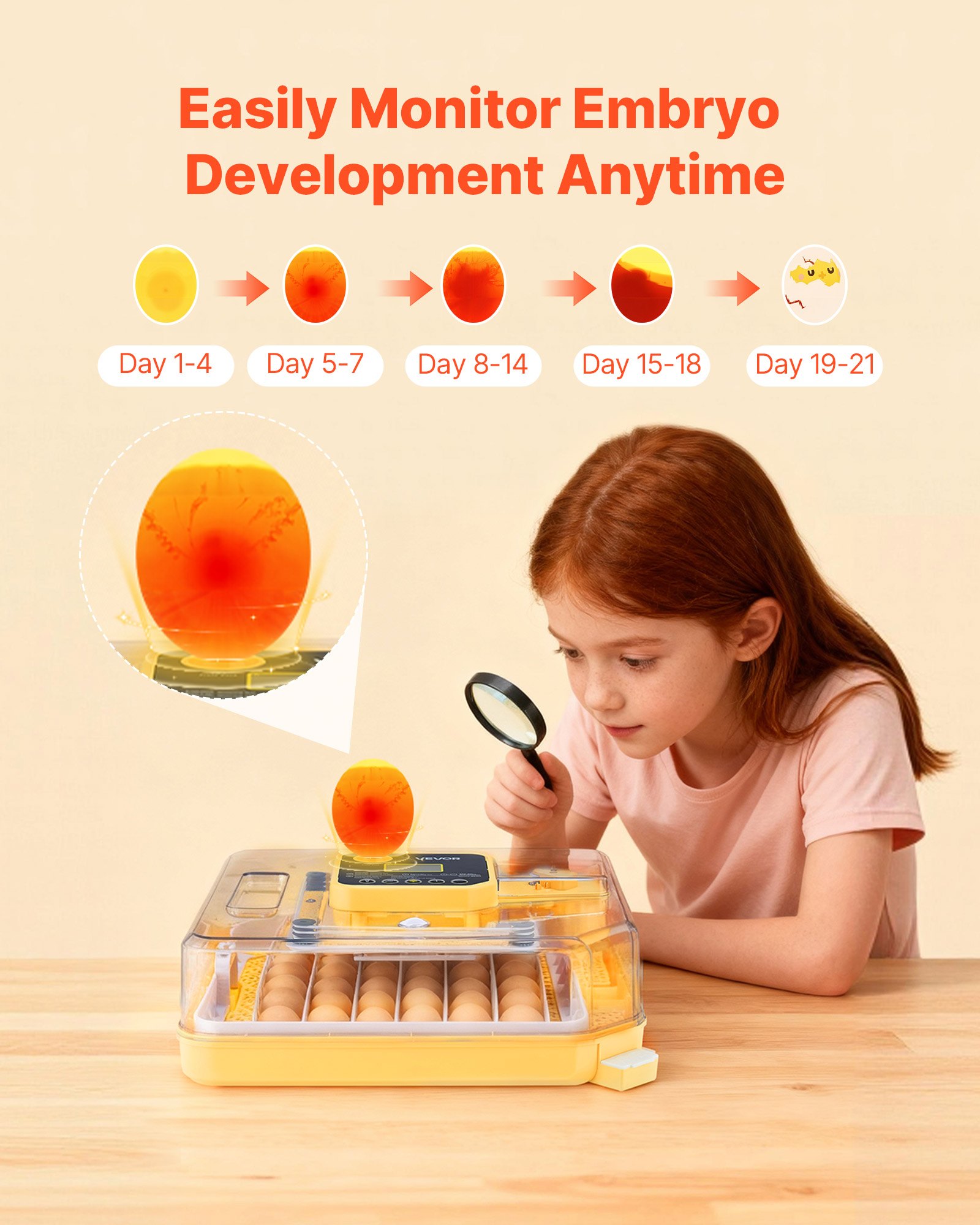48 Egg Incubator, Automatic Egg Turner With LED Candler, Temperature Display & Auto Humidity Control, 360° View Clear Window, Poultry Eggs Incubator For Hatching Chicks Ducks Goose Quail — imagen 2