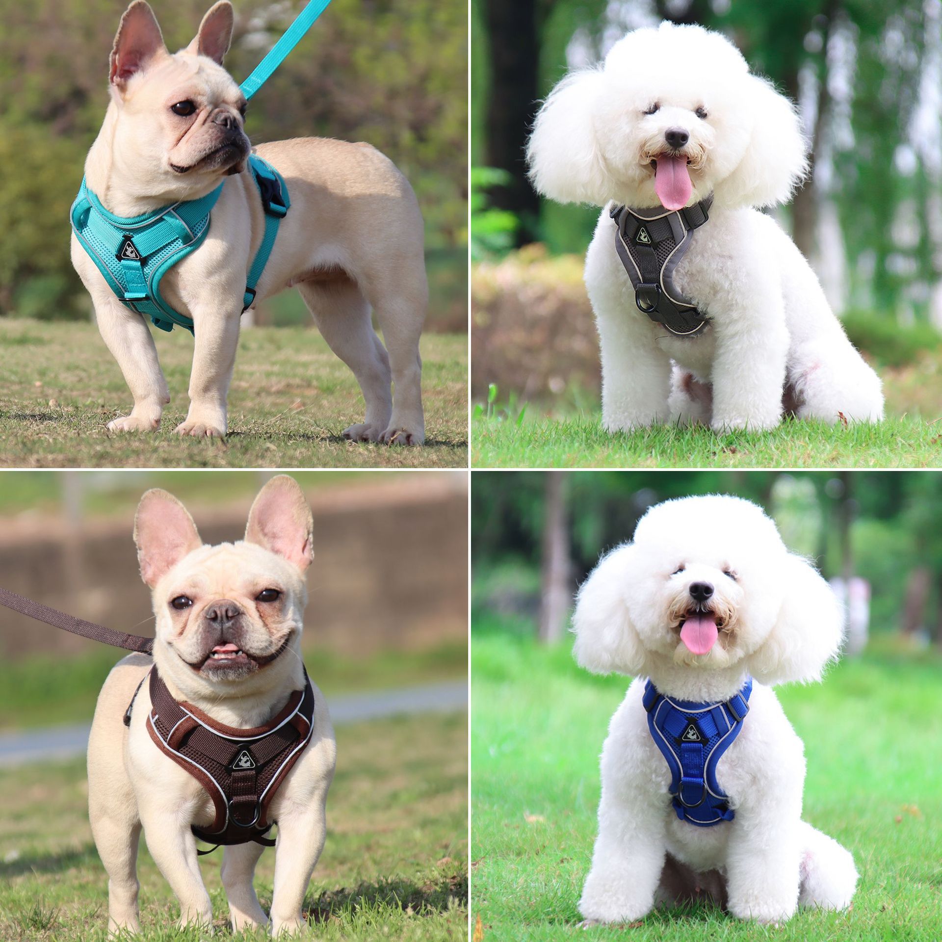 Pet Leash Reflective Breathable Cat Harness Vest Style Small Cat Breathable Reflective — image 3