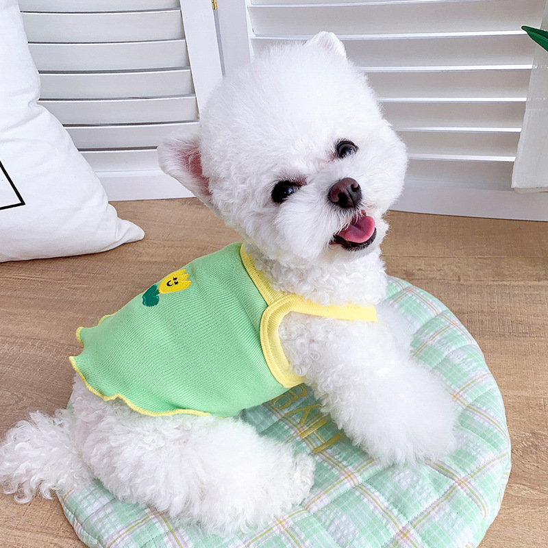 Ropa de Verano para Perros - Oso Teddy para Schnauzers y Gatos Pequeños — imagen 3