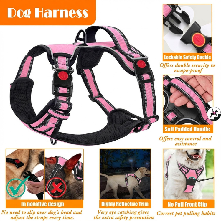 No Pull Dog Harness, Collar & Leash Set With Travel Accessories — image 4