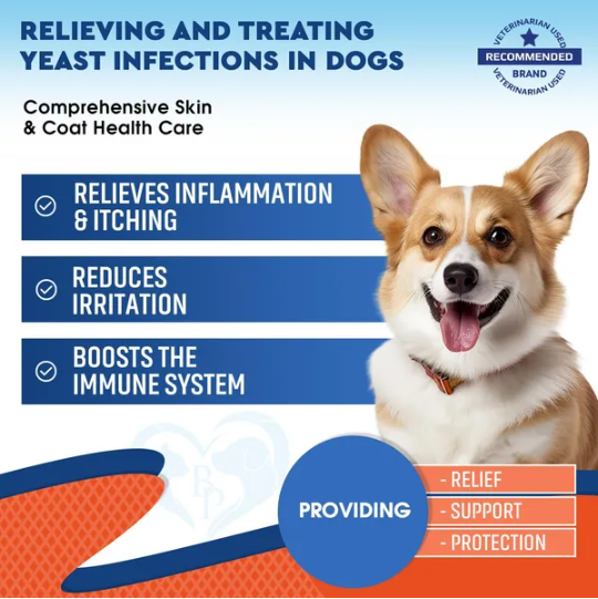 Tratamiento Natural para Infecciones de Levaduras en Perros - Alivio de Picazón y Alergias, Reducción de Inflamación — imagen 2