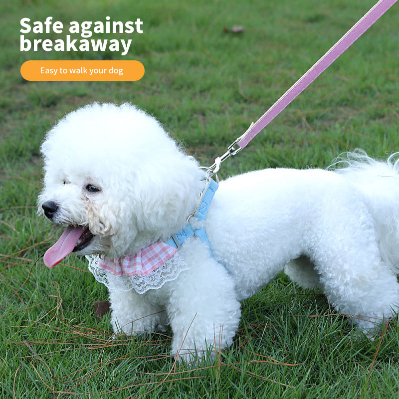 Fashion New Cat Anti-Breakaway Leash Small Dog Chest Strap Teddy Bichon Dog Chain Adjustable — image 2
