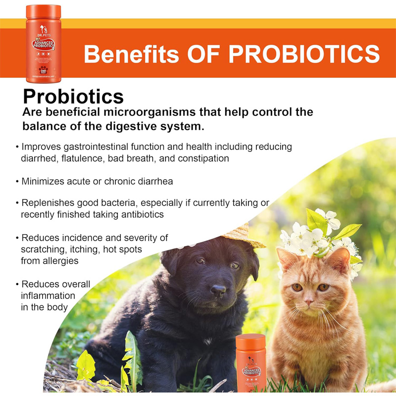 Suplementos Articulares para Perros y Gatos con Glucósamina, Quitina, 10 Vitaminas, Ácido Hialurónico y MSM — imagen 11