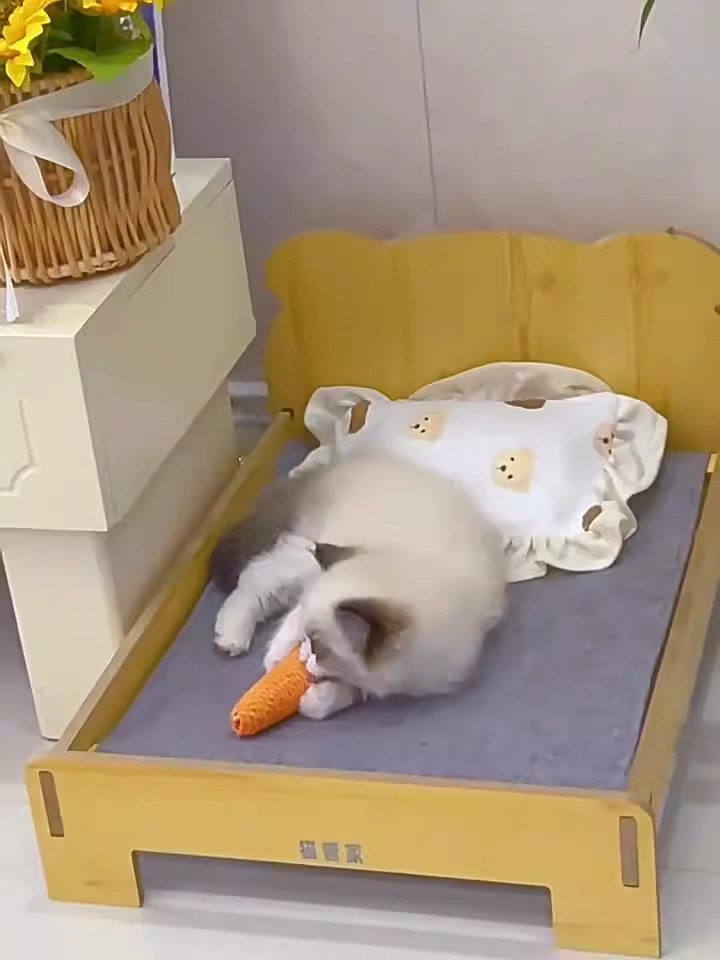 Juguetes para gatos, zanahoria de papel, juguete autoalimentador con sisal, resistencia a mordeduras, estimulación para gatos — imagen 6