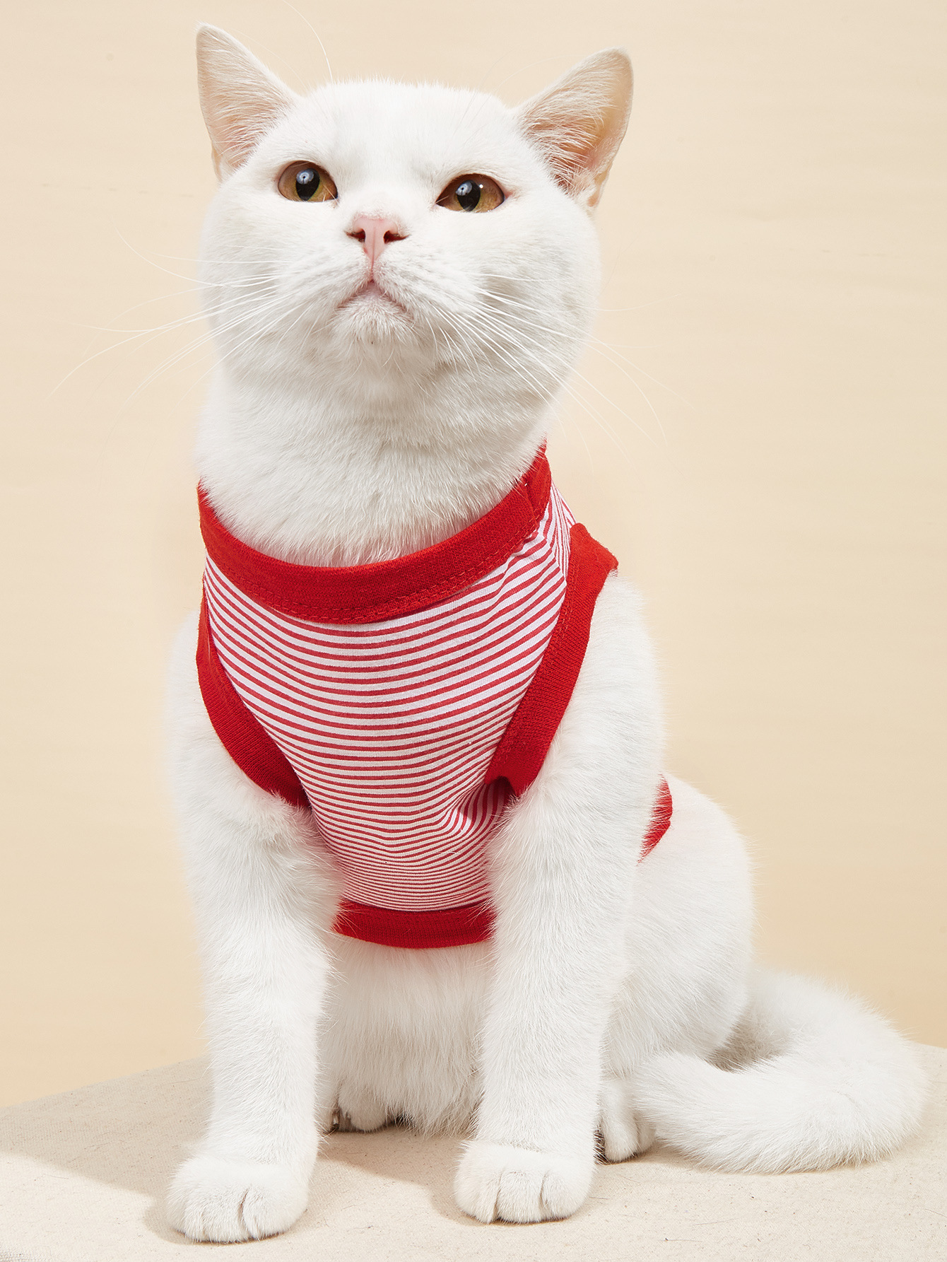 Summer New Dog Clothes Pet Clothing Striped Round Neck T-Shirt Small And Medium Dog Pomeranian Teddy Thin Section — image 3