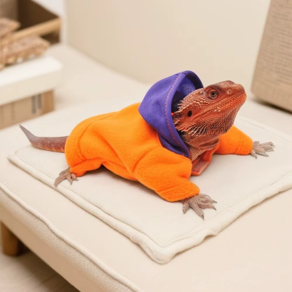 Chaquetas de Calor para Reptiles - Transformación Colorida con Capucha Impermeable para Lagartos y Escalofríos Suaves — imagen 5