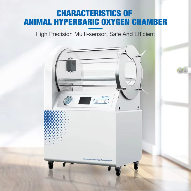 Cámara de Oxígeno Hiperbárico Veterinaria OXYAIR Vet Hard Lying 2.0 ATA para Uso Humano — imagen 3