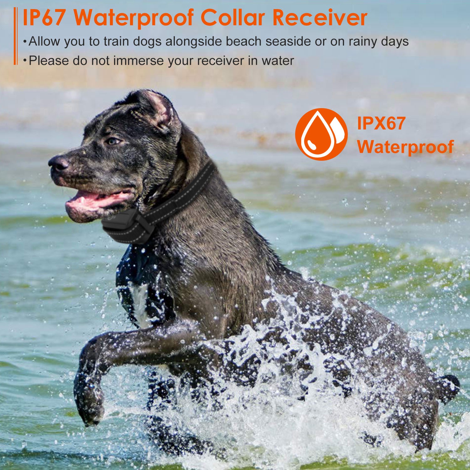 Collar de Entrenamiento Solo - Opción para Collar Completo: 3280FT Collar de Perro IP67 Impermeable con Sonido, Vibración y Corrección Eléctrica — imagen 6