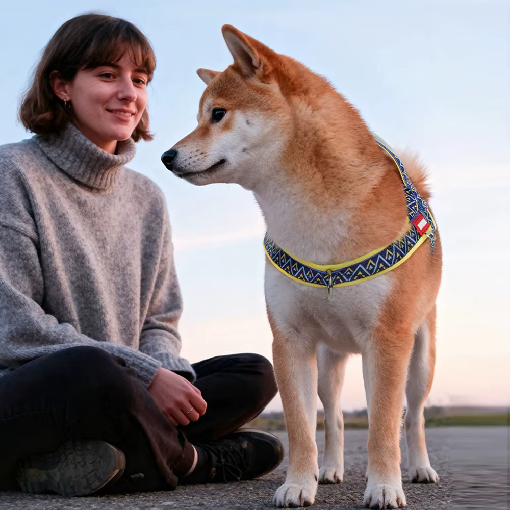 Traje de Trenza para Perros con Diseño Estampado, Suave y Ajustable sin Tirar con Manija para Todas las Razas de Mascotas — imagen 2