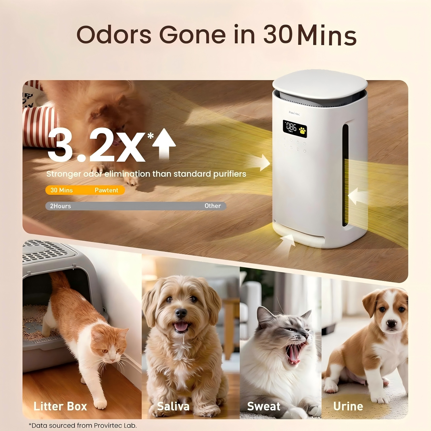 Provirtec Purificador de Aire para Mascotas para Hogares con 4 Filtros Lavables H13 HEPA para Hogares de Mascotas 2 Año Filtro 1800 m2 Probado Reducción de Pelos y Olor de Mascotas PM2.5 Automático y 23 dB Sueño — imagen 2