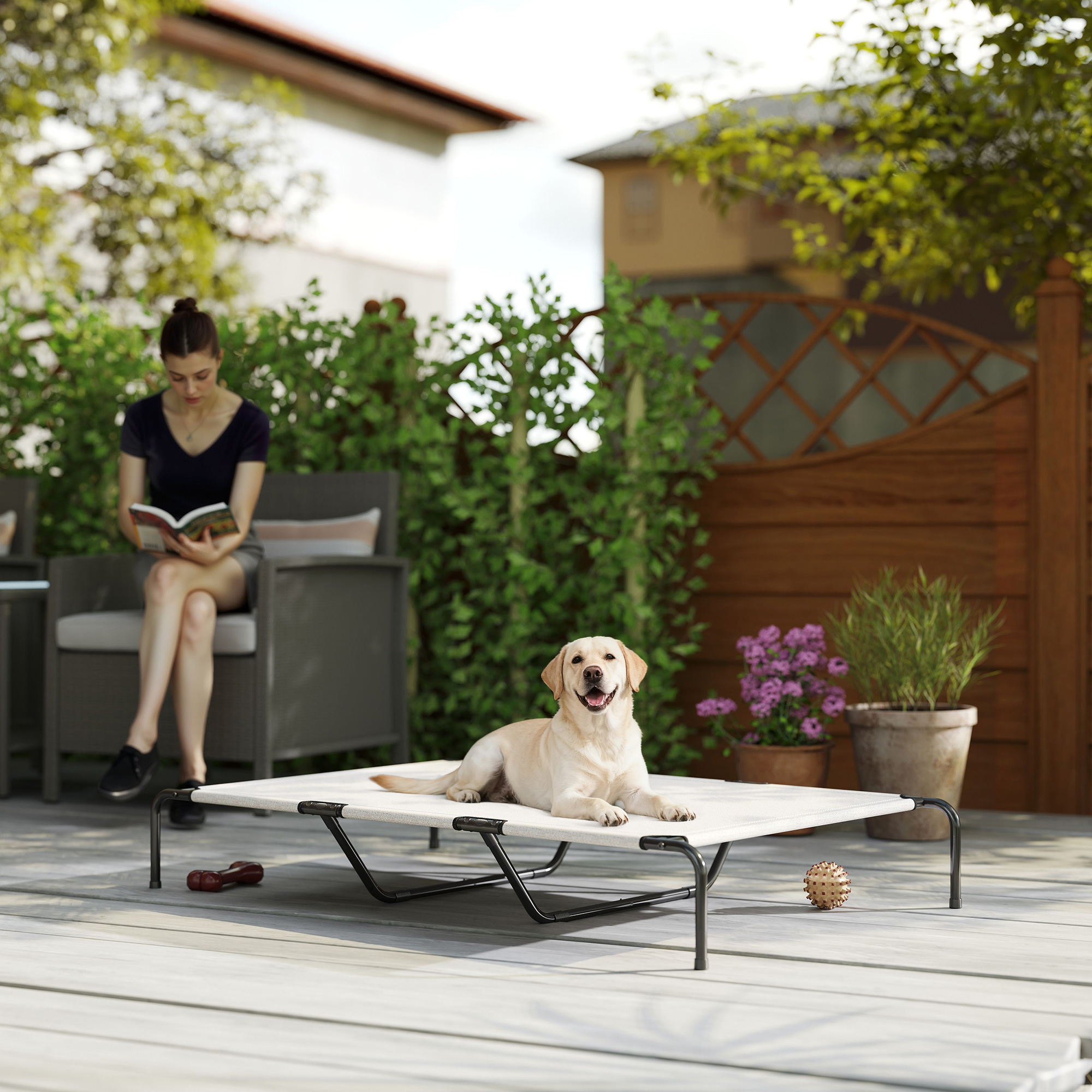 Cama Elevada para Perros Grandes Beige 60"L — imagen 1