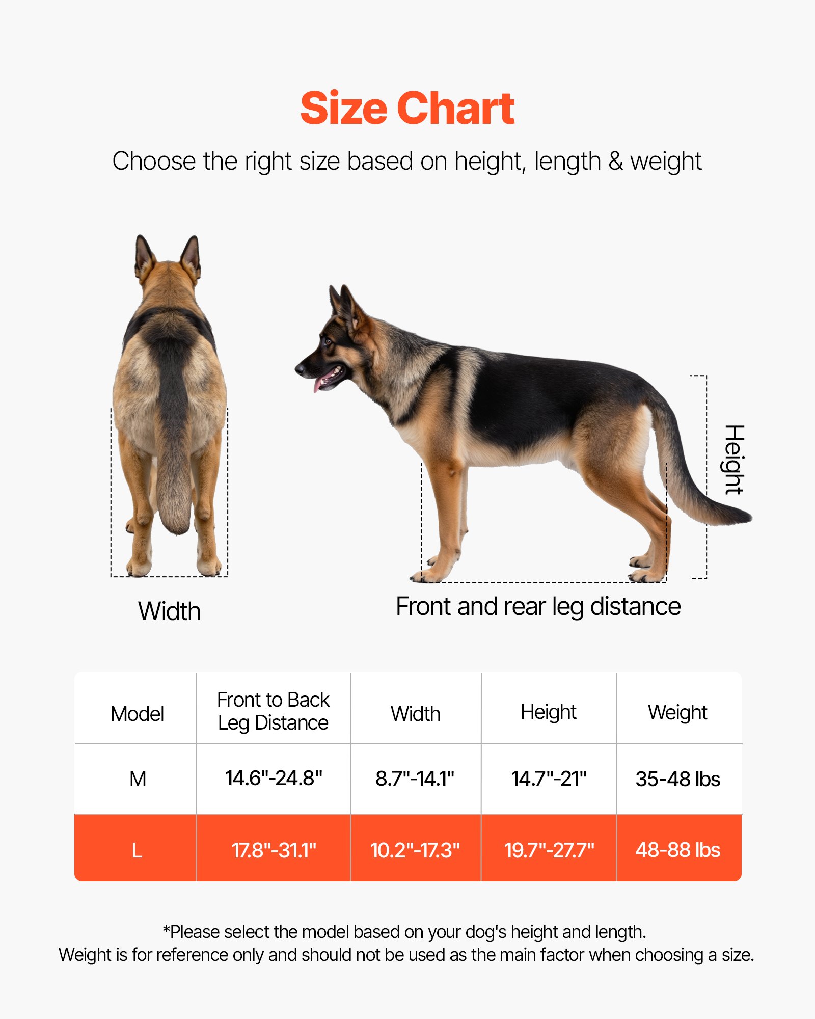 Silla de Ruedas para Perros con Patas Traseras, Ligera 2 Ruedas - Ajustable en Altura, Ancho y Largo — imagen 3
