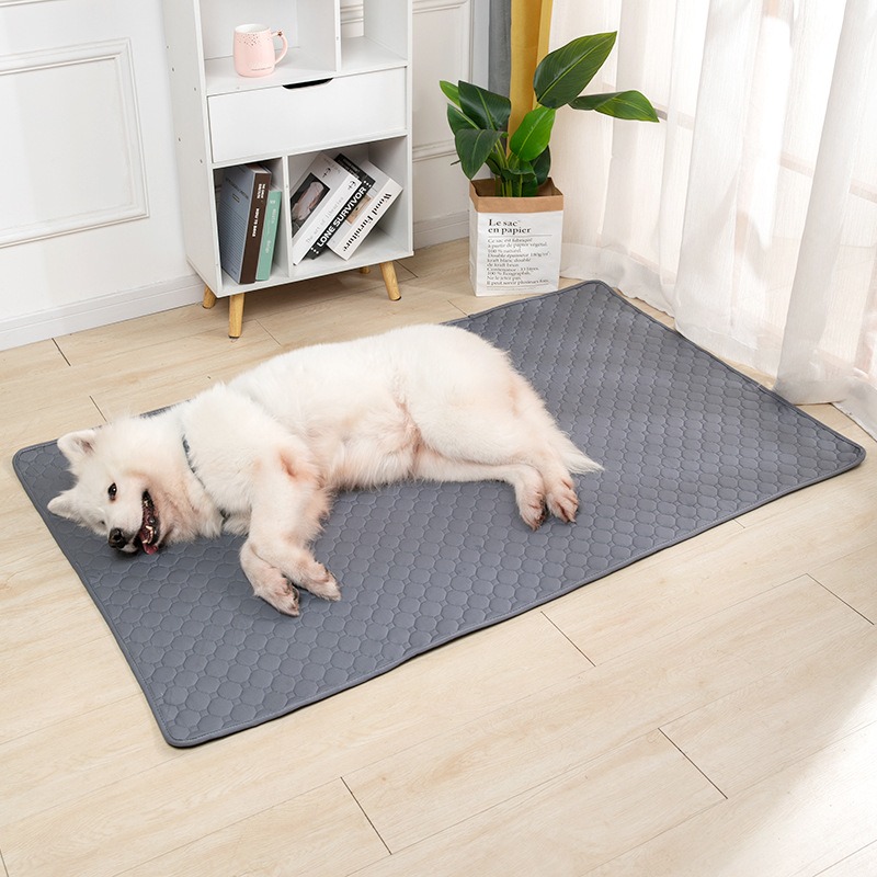 Water Absorbing Pet Urine Pad Skid Resistant Easy Drying Cat Training Pad Washable Reusable Pet Urine Pad — image 1