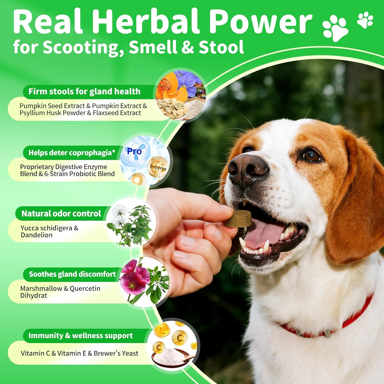 Probióticos y Enzimas Digestivas para Perros - Chucherías de Fibra de Calabaza para Salud Intestinal, Alivio de Constipación, Estreñimiento y Dispepsia, Soporte de Gas y Heces, Sabor a Pollo, 90 Piezas — imagen 8