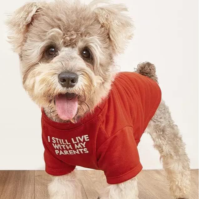 Ropa para Mascotas Camiseta de Cuello Redondo — imagen 2