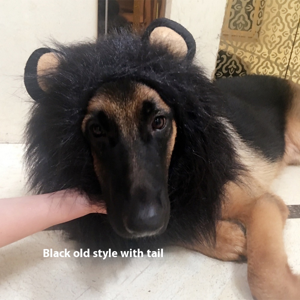 King Of The Jungle Pet Funny Lion Head Cover — image 2