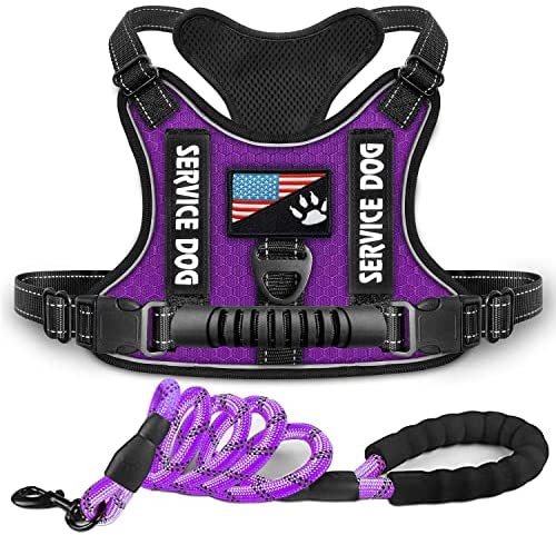 New Fashion Explosion-Proof Shock Absorption Comfortable Night Vision Reflective Pet Chest Strap Undershirt Traction Chest Strap Leash — image 6
