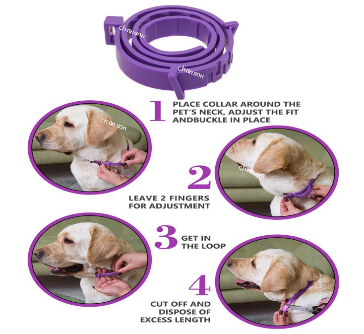 Collar de Perro y Gato Personalizado con Logotipo Gratuito, Ajustable y Impermeable para Calmar a Tu Mascota — imagen 3