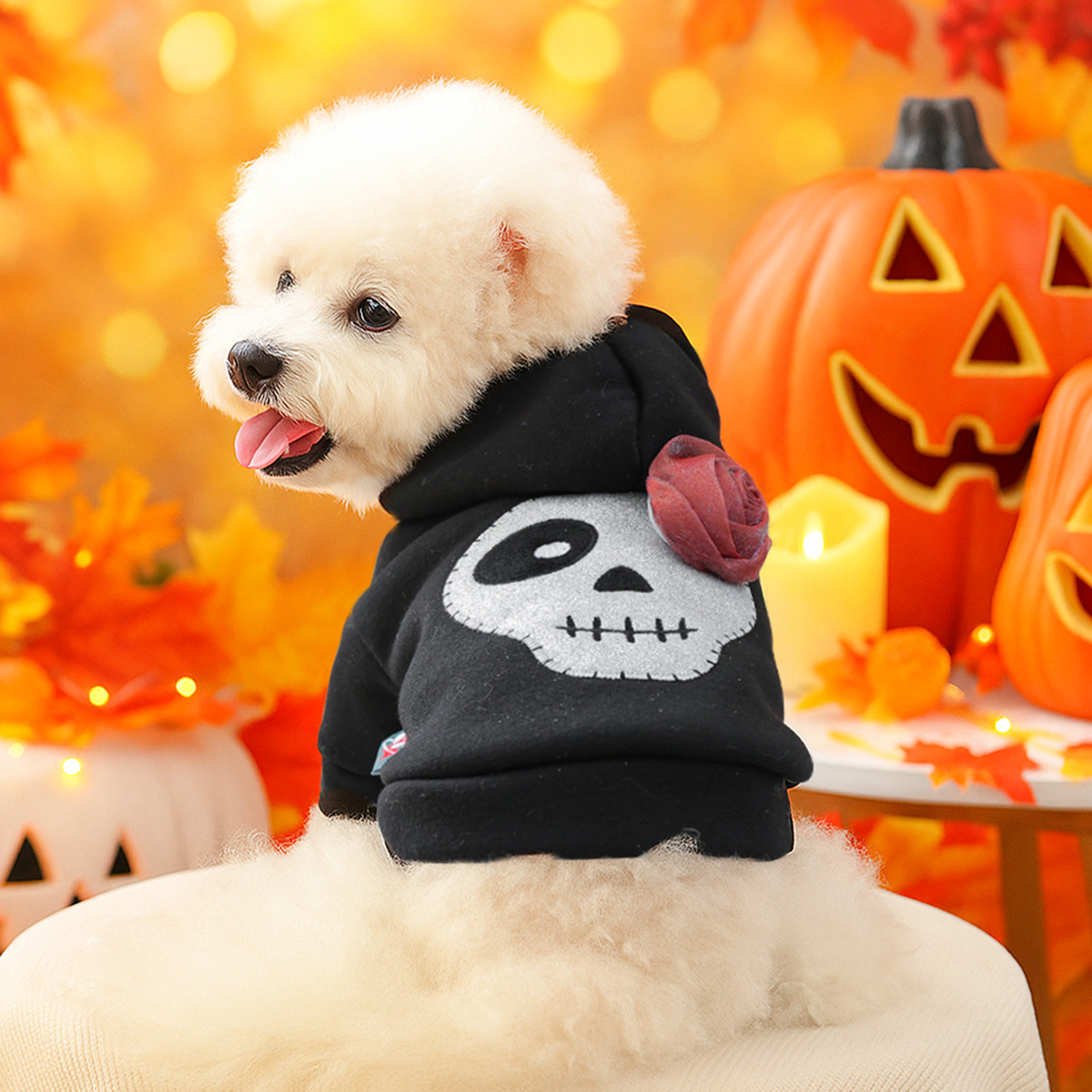 Pet Clothes for Small Dogs and Puppies, Dark Style Festival Outfit, Silver Skull Halloween Hoodie — image 1