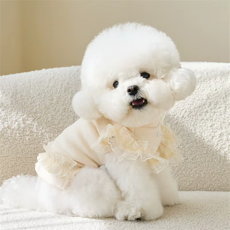 Pet Spring Lace Flying Sleeve Bottom Shirt Cute Colorful Tank Top Pet Teddy Bottom Shirt Cat T-shirt Top Puppy Clothes — image 5