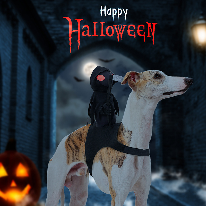 Caballero de la Cosecha Oscura que se Transforma en Disfraz para Mascotas para Halloween — imagen 3