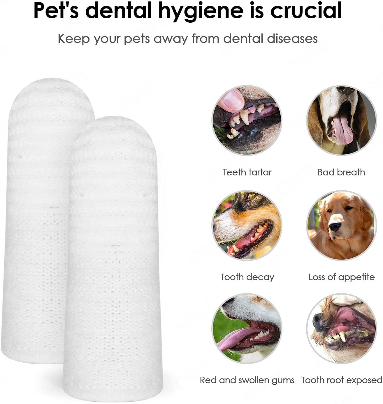 Cepillo Dental para Pájaros y Mascotas Cuidado Oral Herramienta de Higiene Canina y Felina Pequeño Cepillo Dental para Gatos — imagen 5
