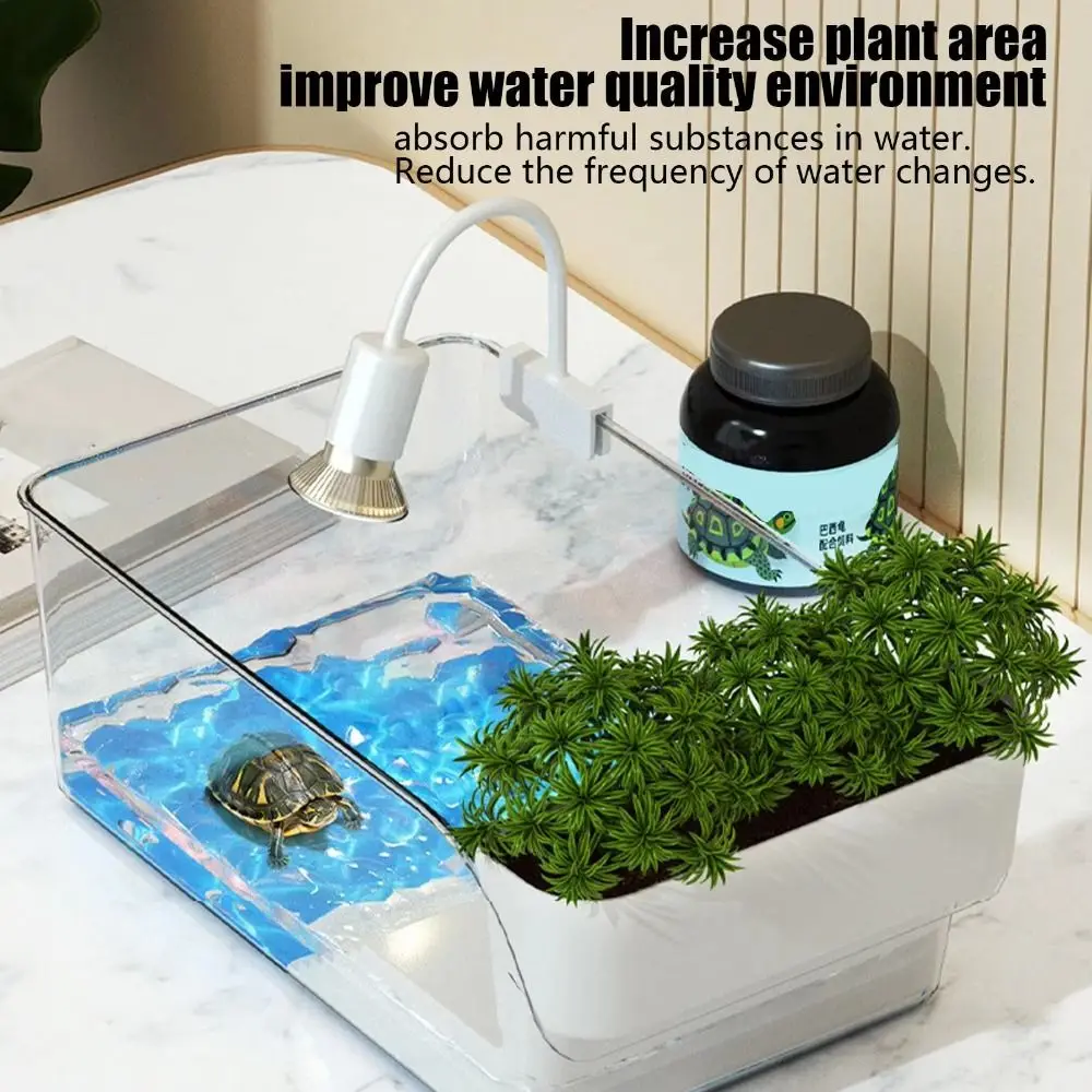Tanque de Tortuga Transparente con Paisaje Ecológico y Área de Sol para Reptiles — imagen 1