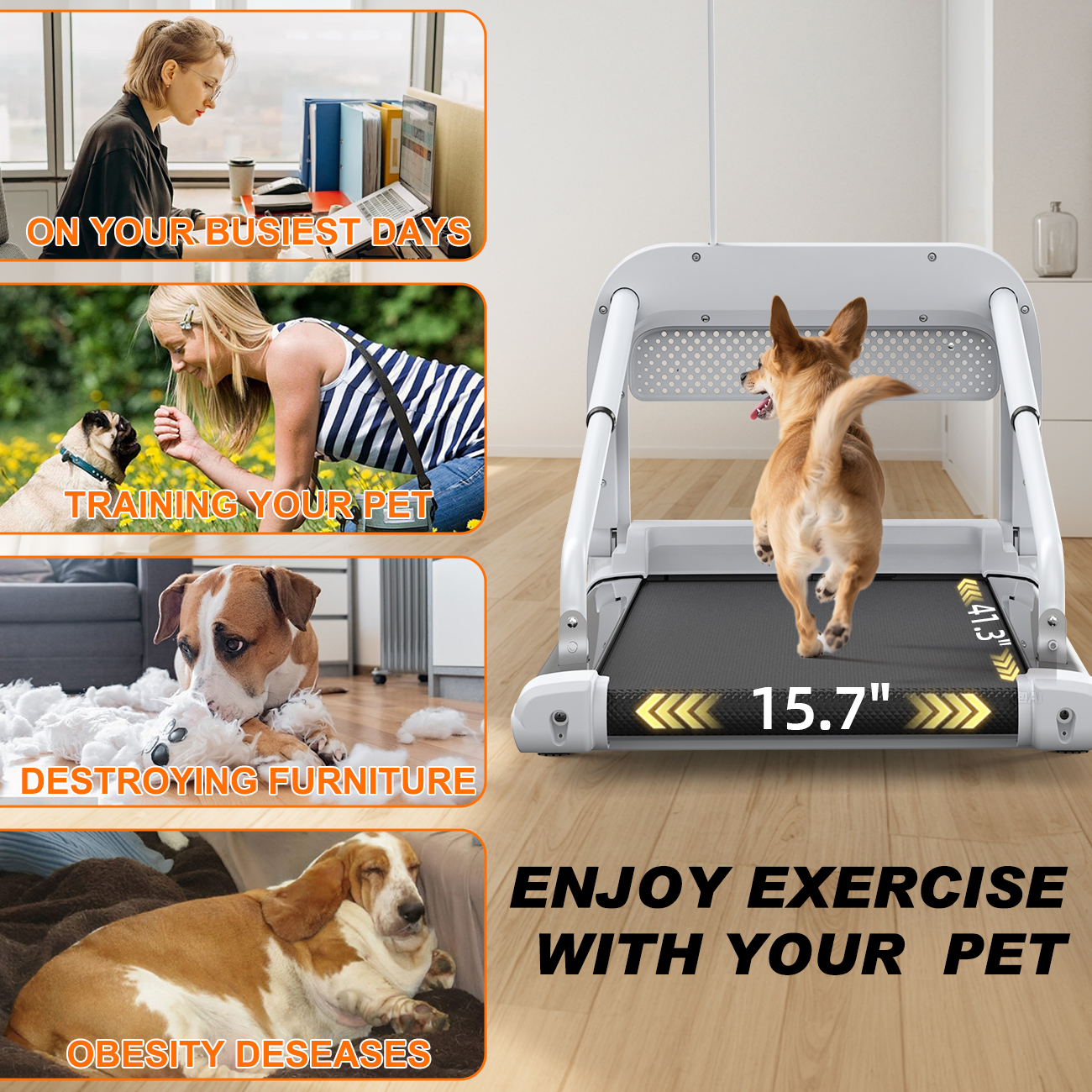 New Quiet Smart Pet Treadmill, Adjustable Speed, Perfect For Small-Medium Dogs — image 4