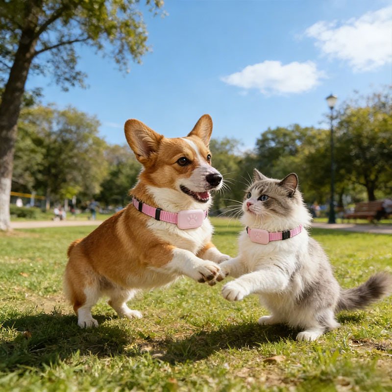 Real-Time GPS Pet Tracker: Long-Range Waterproof Collar with Activity Alert, Anti-Loss Finder Compatible with Apple Find My — image 7