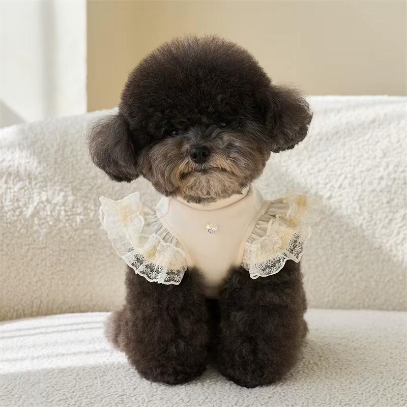 Pet Spring Lace Flying Sleeve Bottom Shirt Cute Colorful Tank Top Pet Teddy Bottom Shirt Cat T-shirt Top Puppy Clothes — image 2