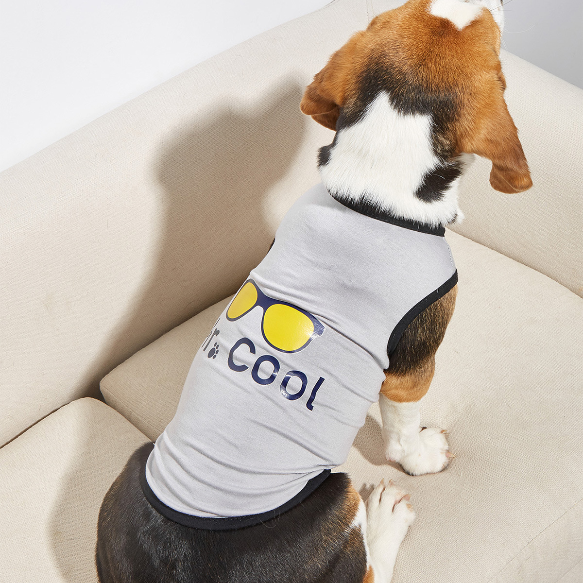 Ropa de Perro para Primavera y Verano - Vestido con Gafas, Sección Delgada, Camiseta Francesa — imagen 1