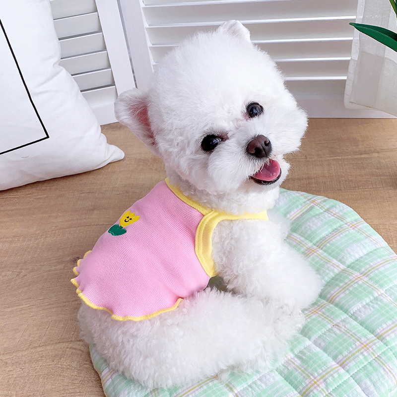 Ropa de Verano para Perros - Oso Teddy para Schnauzers y Gatos Pequeños — imagen 6
