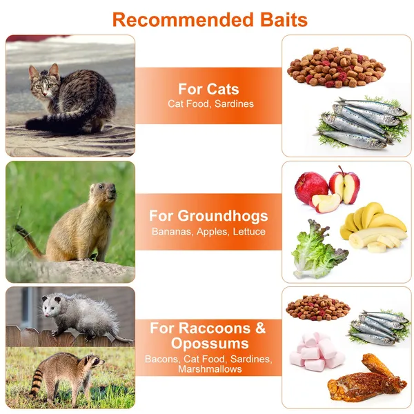 Humane Cat Trap Cage Catch Release Live Animal Rodent Cage Collapsible Galvanized Wire For Raccoons Beavers Groundhogs Foxes Armadillos — image 4