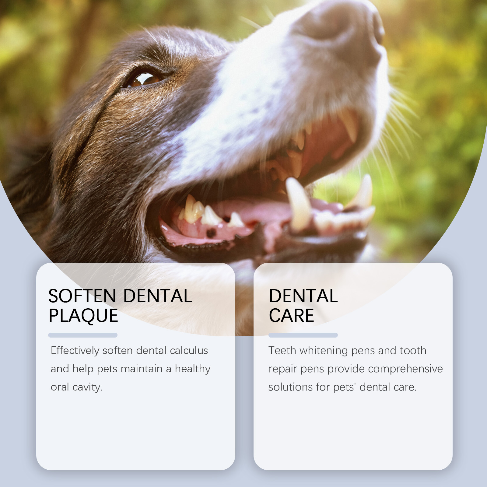 Kit de Pintura Dental para Mascotas - Eliminador de Placas y Manchas — imagen 4