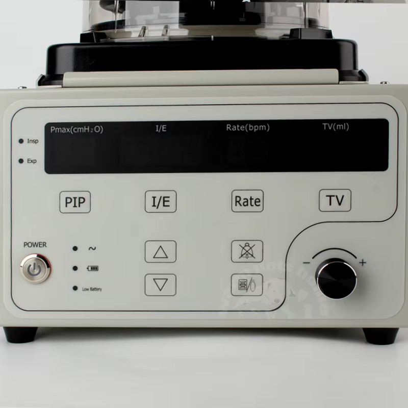 Veterinary Anesthesia Ventilator Machine High Flow Oxygen Therapy Equipment Vet Fan for Animal Hospital Clinic — image 5