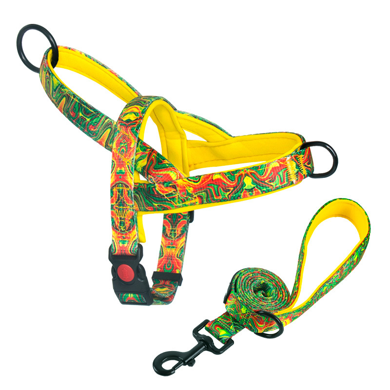 Arnés de Perro con Función Antipulido para Razas Medianas y Grandes, Labradores, Golden Retriever, Correa de Perro, Cadena de Perro — imagen 13