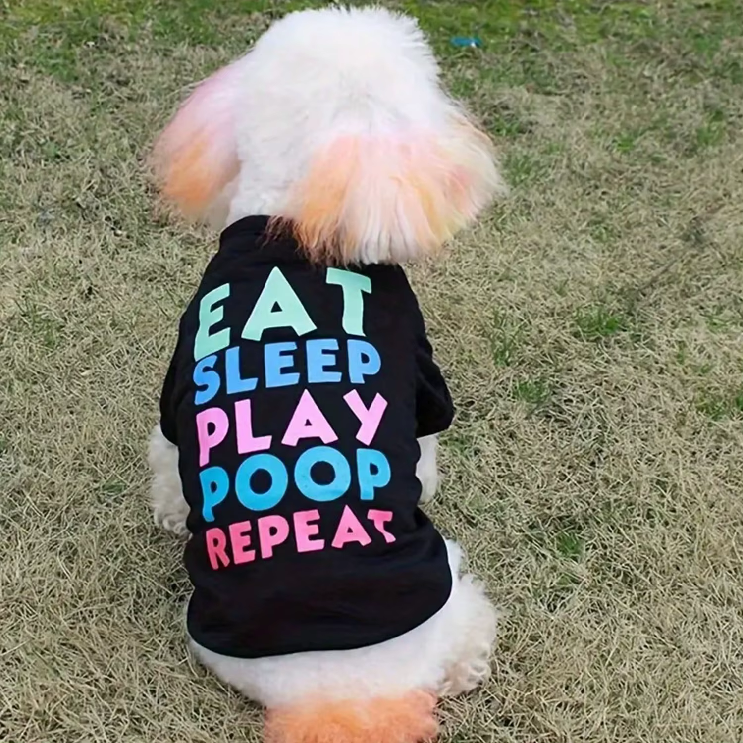 Camiseta para Perros con Diseño Cómico y Respirable para Mascotas — imagen 4
