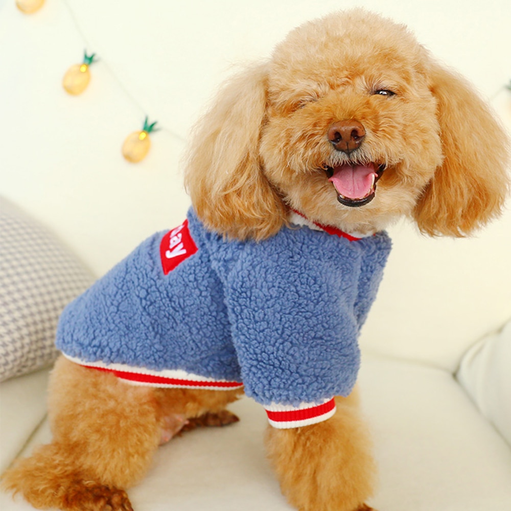 Soft Pet Clothes Dog Saturday Pet Clothes — image 5