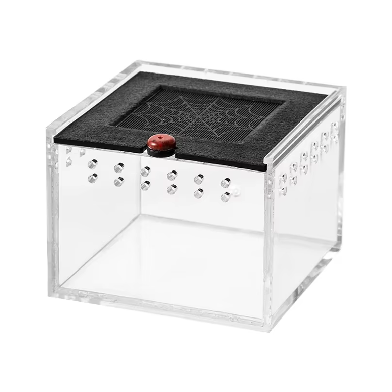 Caja para Arañas de Reptiles Casa para Insectos Pet Caja de Alimentación Escorpión Lagarto Gusanos de Sedal — imagen 5