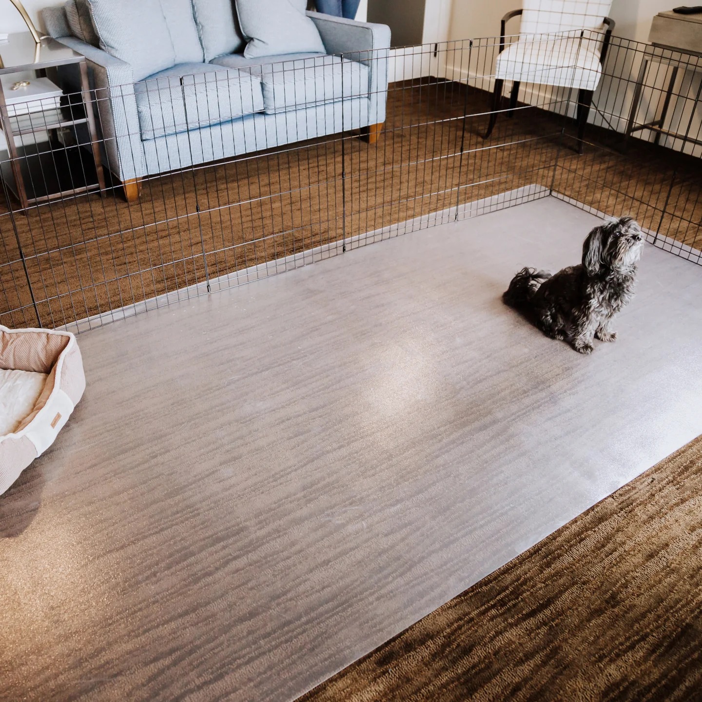 Manta de Piso PVC Congelado - 1.5mm Anti-Rasguño Impermeable para Área de Alimentación de Mascotas y Suelo de Cárcel Canina — imagen 7