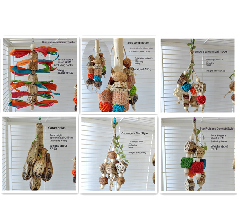 Juguetes para Loros Suministros de Mordida Piezas para Volateros — imagen 11