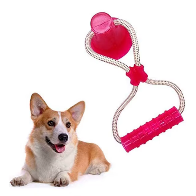 Pet Molar Toy Self-playing Rubber Ball Toy With Suction Cup Dog Interactive Molar Chew Toy Teeth Cleaning Tool — image 8