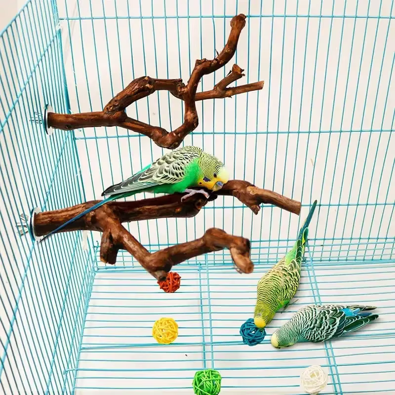 Palo de Estar para Mascotas Madera de Vino Silvestre: Palo de Pájaro para Periquitos y Cacatúas — imagen 2
