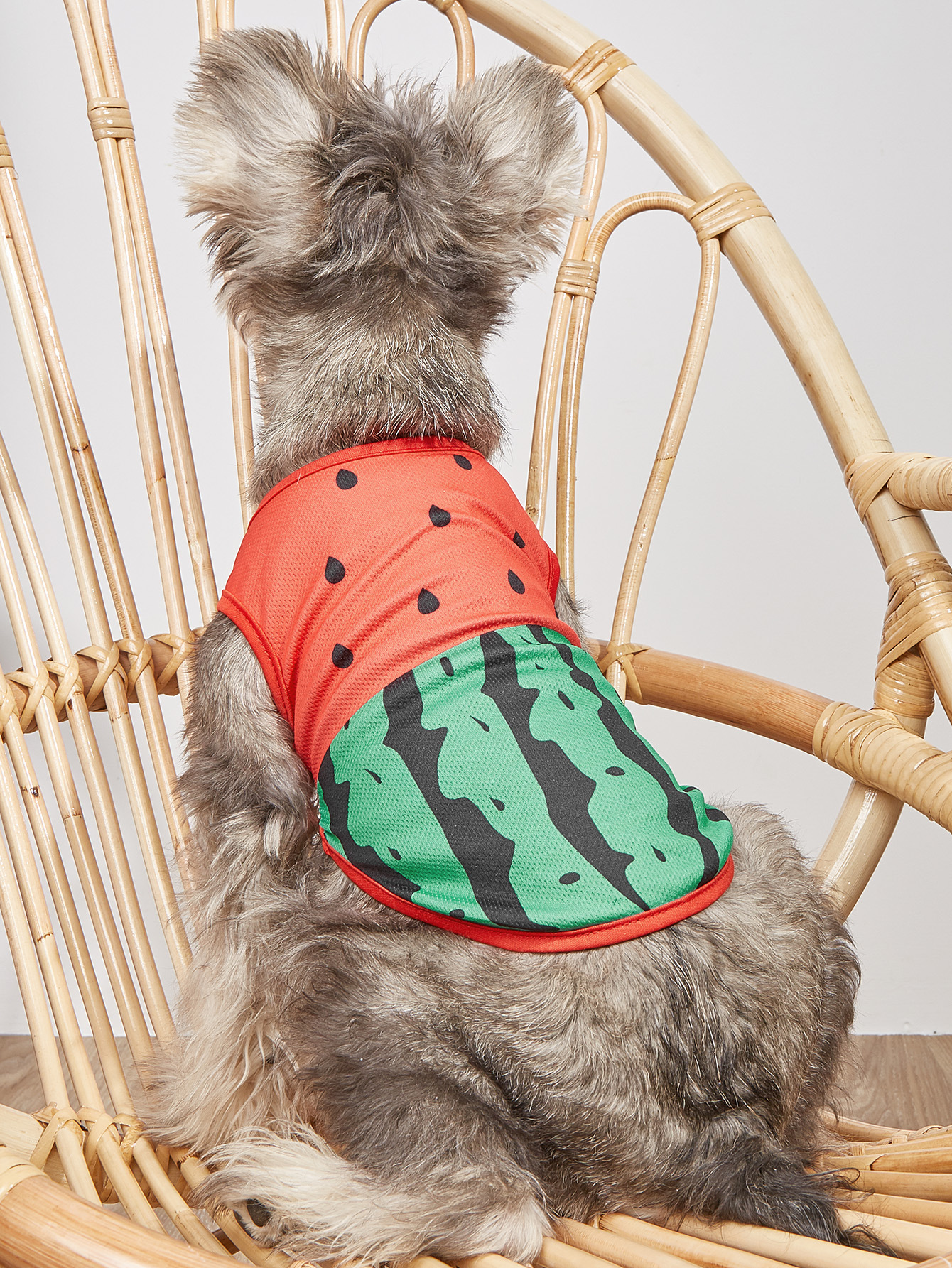 Vestido de Animales Infantiles delgado para Pequeños Perros Gatos Teddy Mascotas Ropa de Accesorio para Mascotas — imagen 1