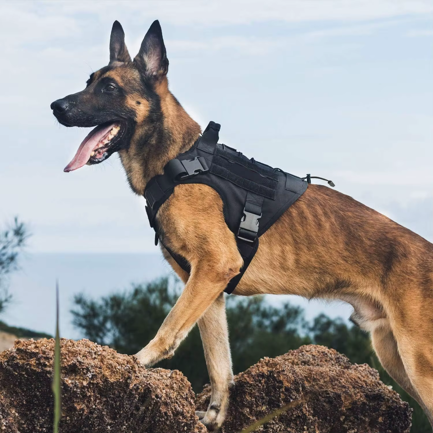 Arnés de Perro, Arnés Táctico con Manija, Vestido para Servicios Caninos con Paneles de Velcro y Anillo, Arnés Ajustable para Cachorros — imagen 3